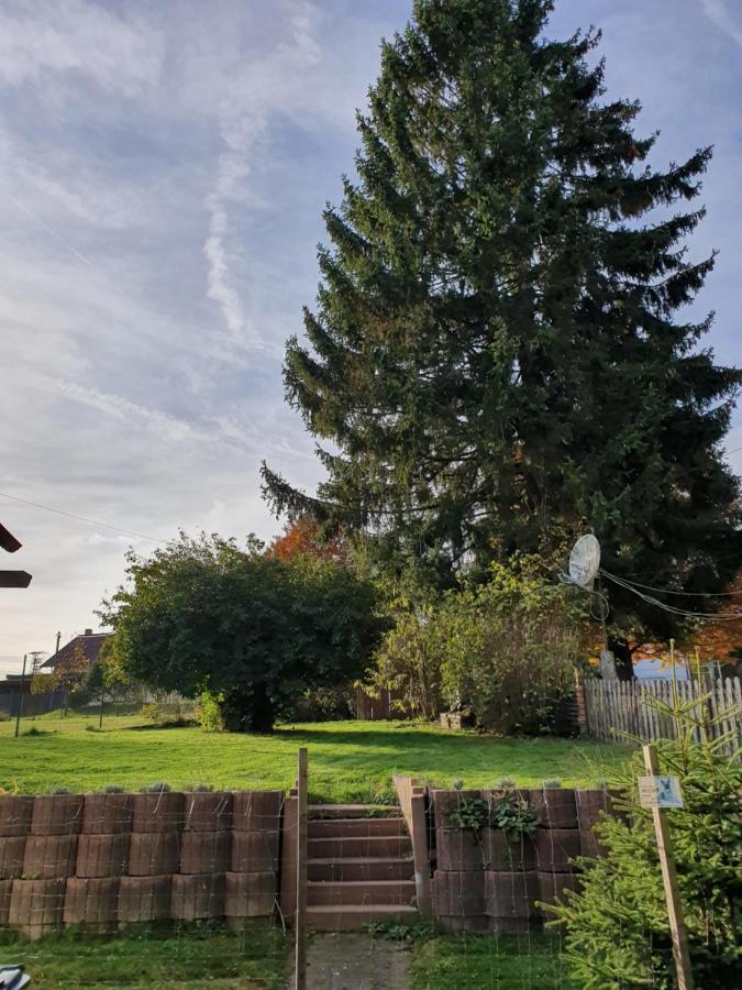 Nationalpark Ferienhaus SOPHIA-LUISA Borfink Exterior foto